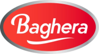 Baghera logo